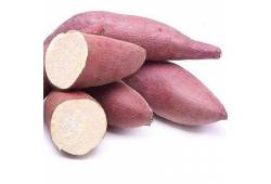 Ipomoea batatas organic Murasaki - povíjnice ( jed..