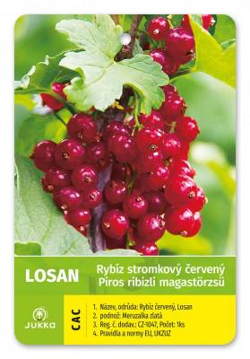 Rybíz keřový červený - LOSAN