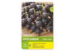Josta keřová JODELI