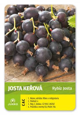 Josta keřová JODELI