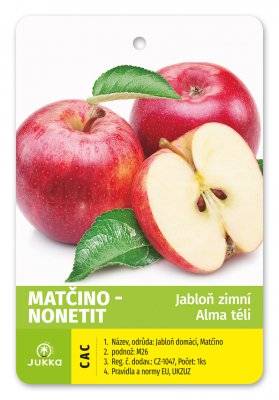 Jabloň MATČINO - NONETIT (zimní)