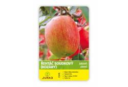 Jabloň ŘEHTÁČ SOUDKOVÝ (KOZÁRY)