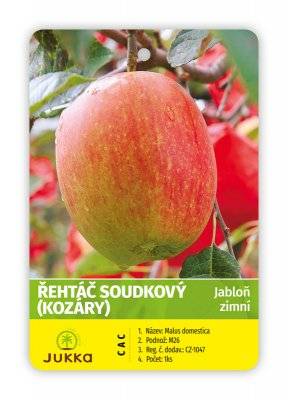 Jabloň ŘEHTÁČ SOUDKOVÝ (KOZÁRY)