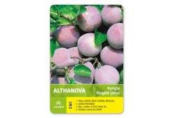 Renklóda (Ryngle) ALTHANOVA