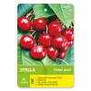 Třešeň STELLA samosprašná