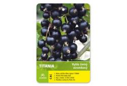 Rybíz stromkový černý - TITANIA