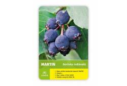 Muchovník - Indiánská borůvka Amelanchier MARTIN