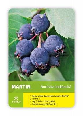 Muchovník - Indiánská borůvka Amelanchier MARTIN