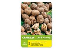 Ořešák CHANDLER