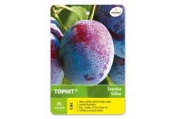 Švestka TOPHIT