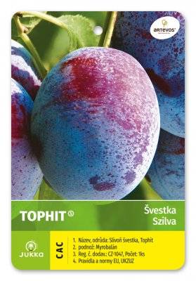 Švestka TOPHIT
