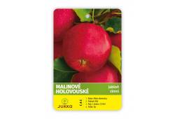Jabloň MALINOVÉ HOLOVOUSKÉ - zimní