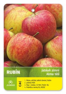 Jabloň RUBÍN - zimní