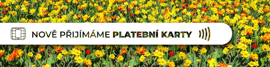 nove prijimame platebni karty